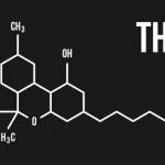 cannabinoid