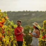 Wine tourism