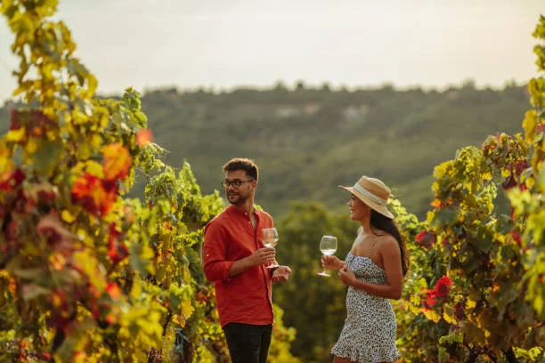 Wine tourism