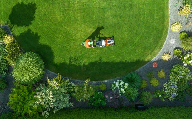 year-round lawn care