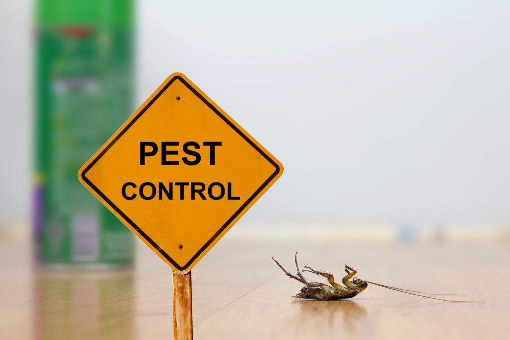 The Role of Pest Control in Maintaining A Safe Outdoor Environment