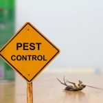 The Role of Pest Control in Maintaining A Safe Outdoor Environment