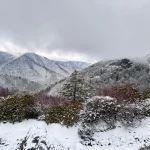 cabins for rent in the Smoky Mountains