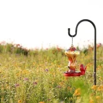 Hummingbird Feeder