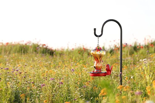 Hummingbird Feeder