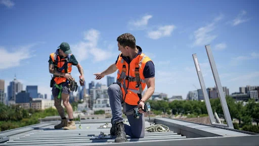 Professional Plumbers