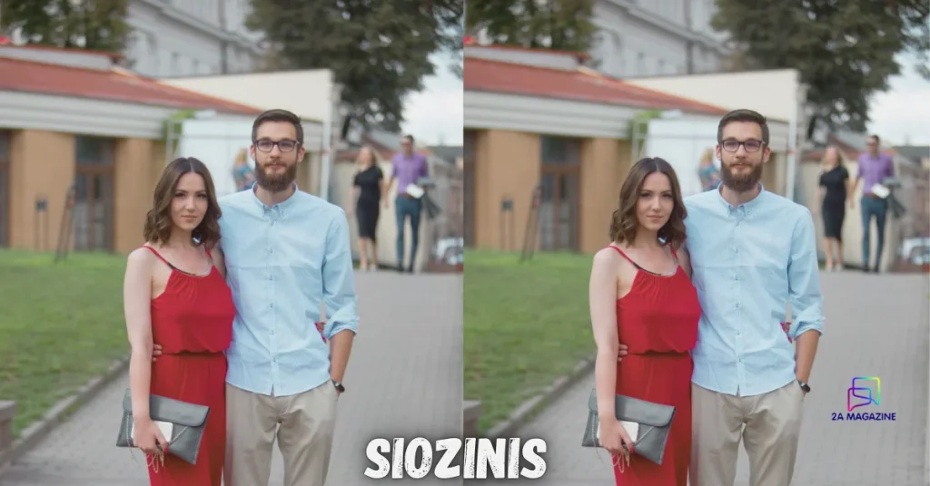 Siozinis