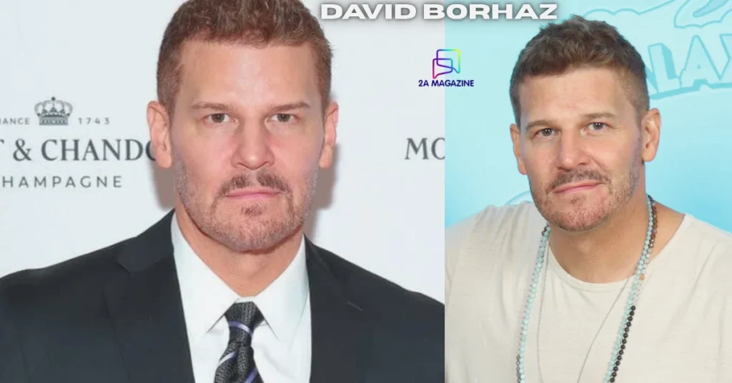 david borhaz