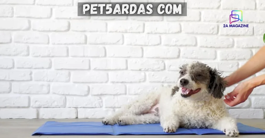 pet5ardas com