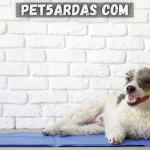 pet5ardas com