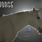 bk horse