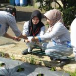 The Impact of Volunteering: Creating Meaningful Social Change Today