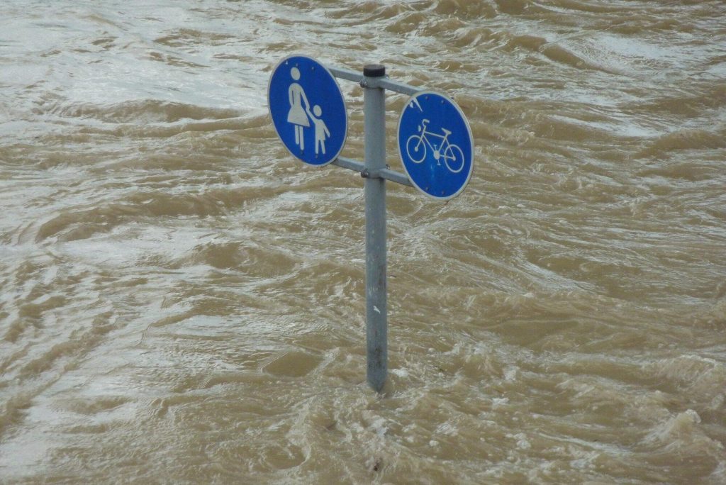 Water Damage Cleanup Services: Fast Solutions for Your Home