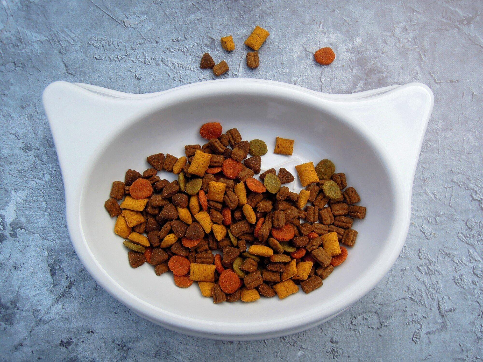 Healthy Pet Food Options for Happy, Active Pets