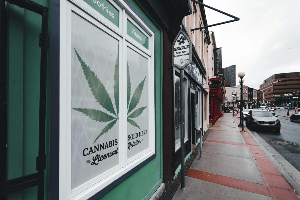 How to Choose the Right Cannabis Products for Your Needs