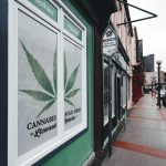 How to Choose the Right Cannabis Products for Your Needs