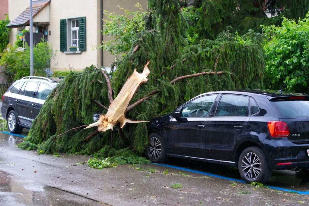 Property Damage Claim
