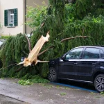 Property Damage Claim