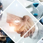 Veterinary Practice Management Consultants