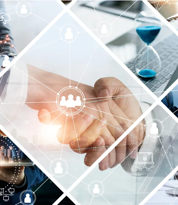 Veterinary Practice Management Consultants