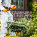 The Role of Pest Management in Home Improvement Projects
