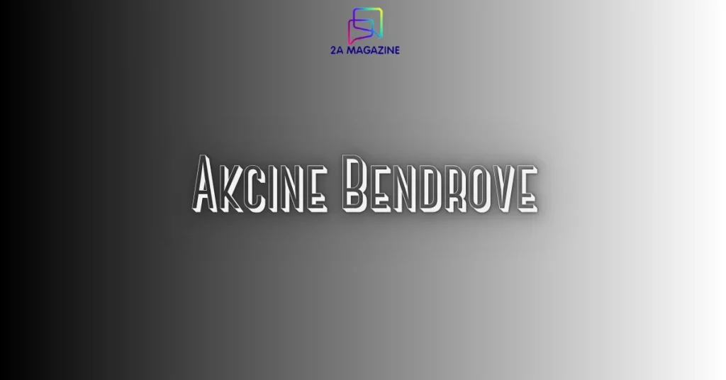 Akcine Bendrove