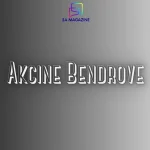 Akcine Bendrove