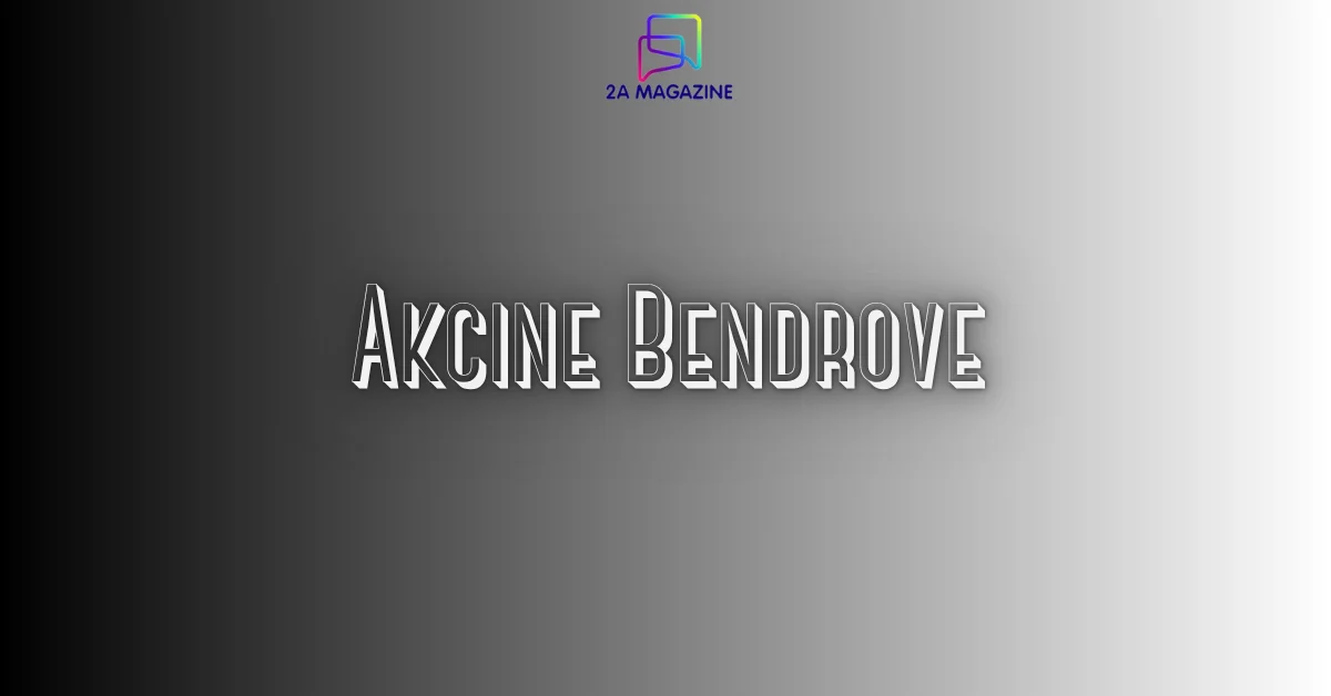 Akcine Bendrove