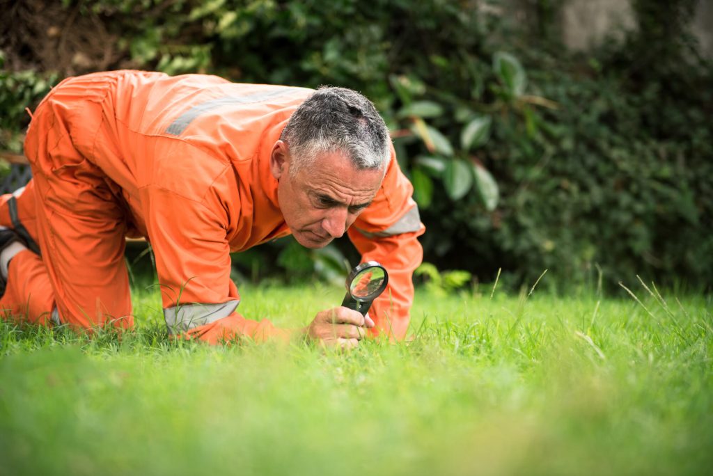 Professional Bug Exterminators for Effective Pest Control Services