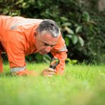 Professional Bug Exterminators for Effective Pest Control Services
