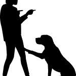 Dog Training
