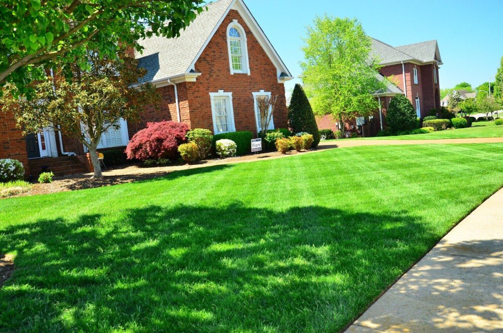 Transform Your Outdoor Space with Professional Lawn Services