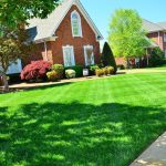 Transform Your Outdoor Space with Professional Lawn Services