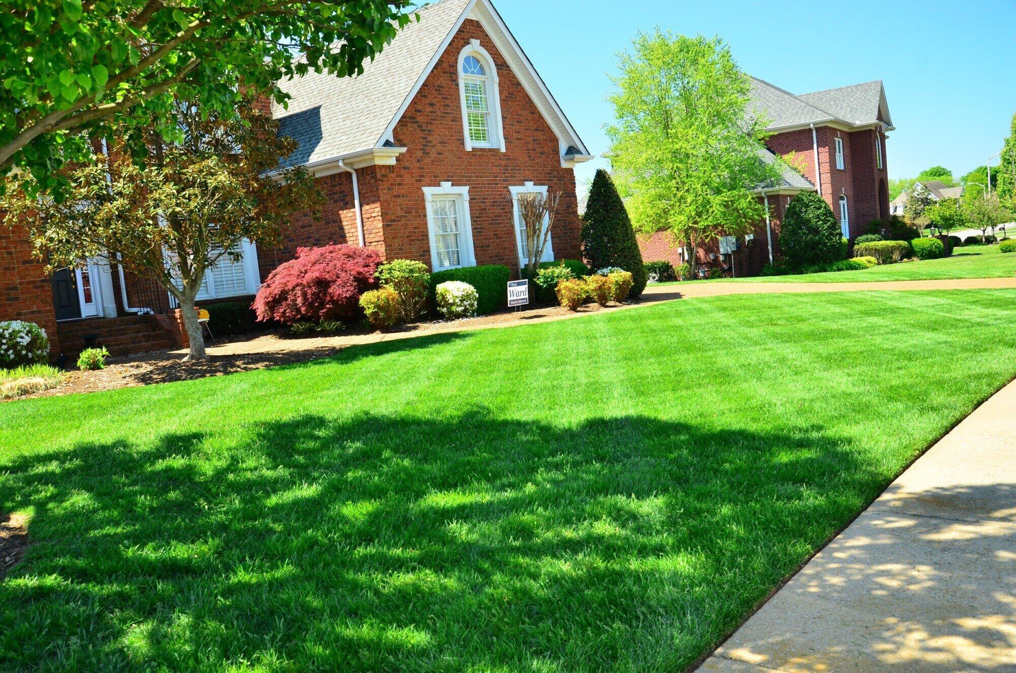 Transform Your Outdoor Space with Professional Lawn Services