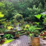 Upgrade Your Outdoor Space with Durable and Stylish Synthetic Grass