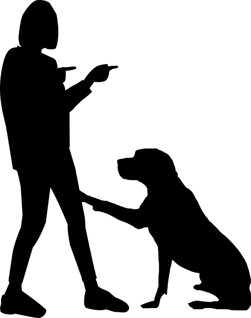 Dog Training
