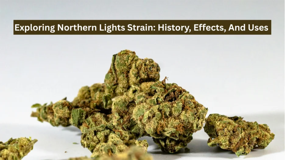 Northern Lights strain