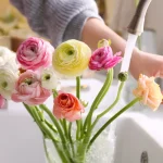 White Rose Flower Bouquet: purity and elegance for every occasion