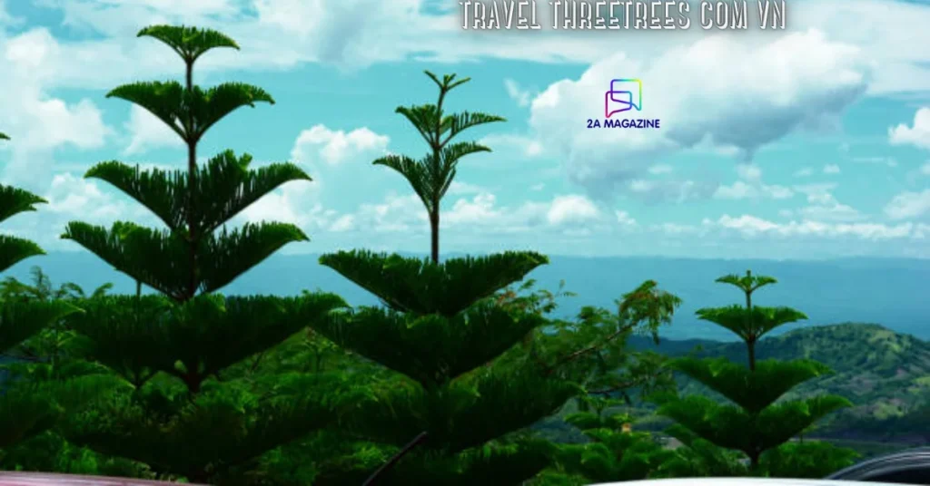 travel threetrees com vn
