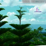 travel threetrees com vn