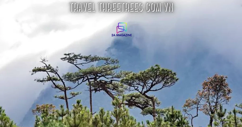 travel threetrees com vn