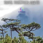 travel threetrees com vn
