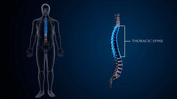 Spinal-Cord Injuries