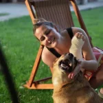 dog bite lawyer Charlotte