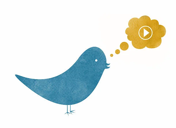 download Twitter videos