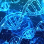 Family Link DNA Analysis for Clear Biological Connections