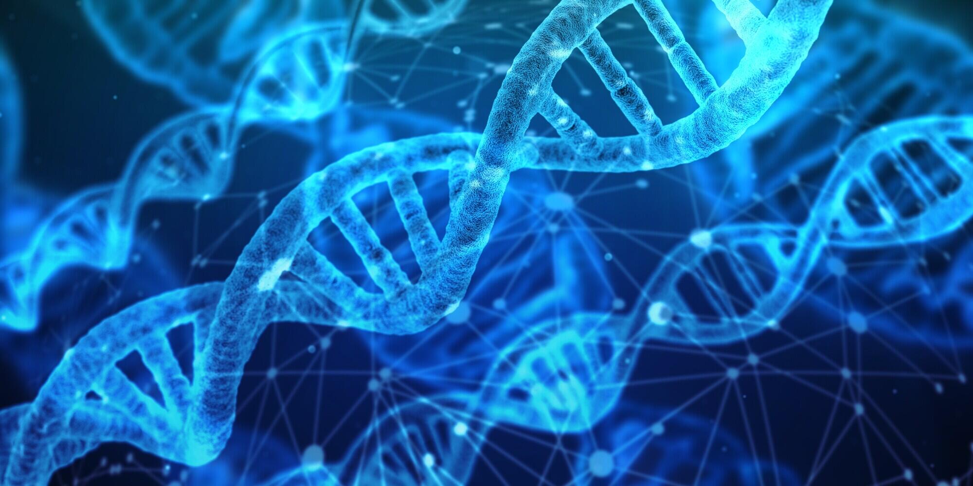 Family Link DNA Analysis for Clear Biological Connections