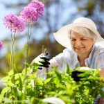 The Power of Play: Why Pastimes Matter for Older People's Well