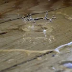 Reasons Your Home May Have Leaks