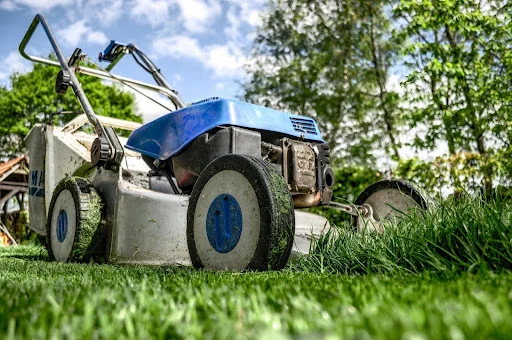 lawn maintenance